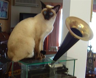 Her masters voice