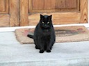 Guarding the front door