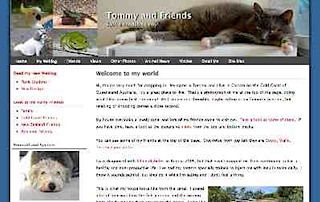 Tommy's new website2