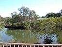 Looking across the canal (upstairs)